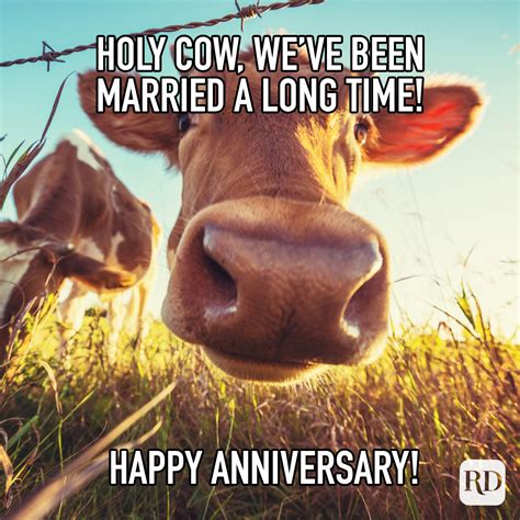 happy anniversary meme funny|humorous anniversary memes.